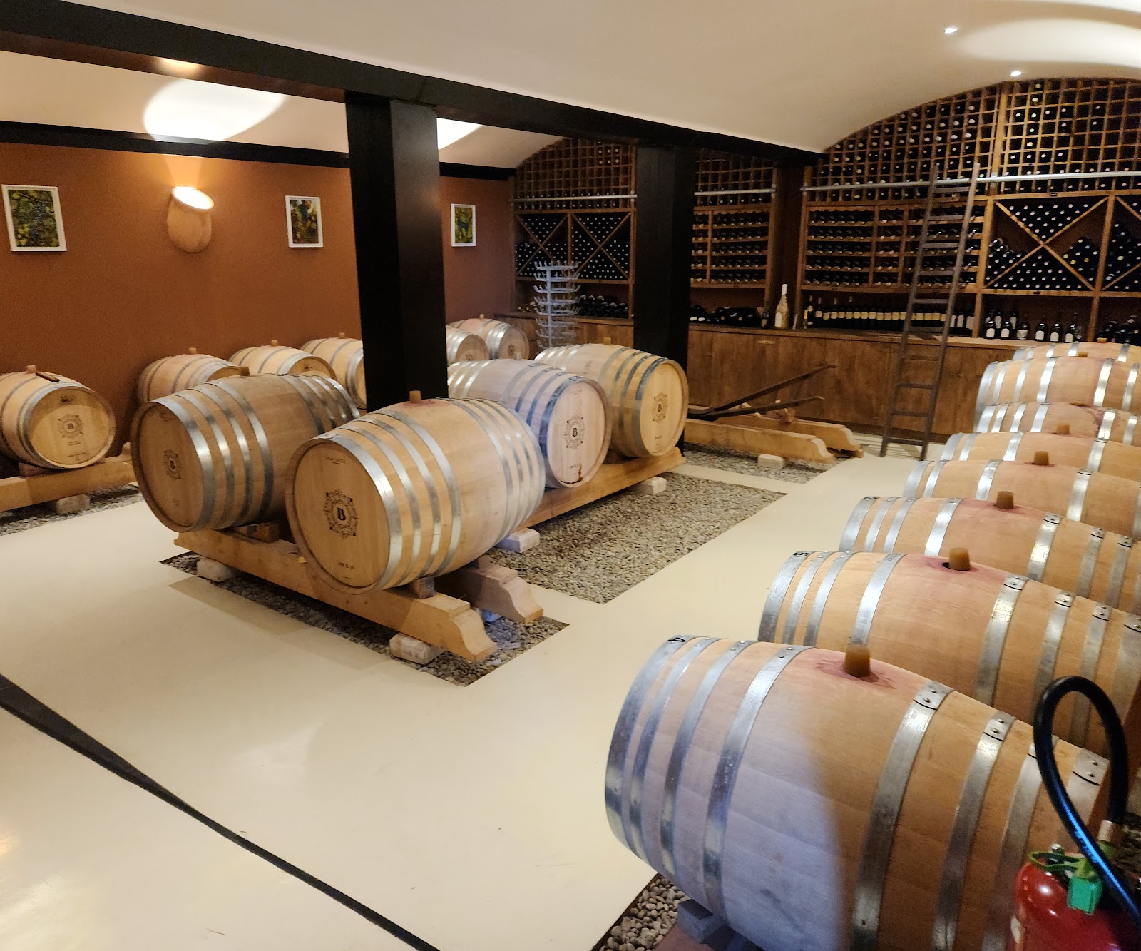 domaine viticole à Cuers – photo 2